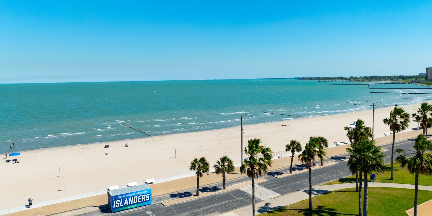 Padre Island Beach