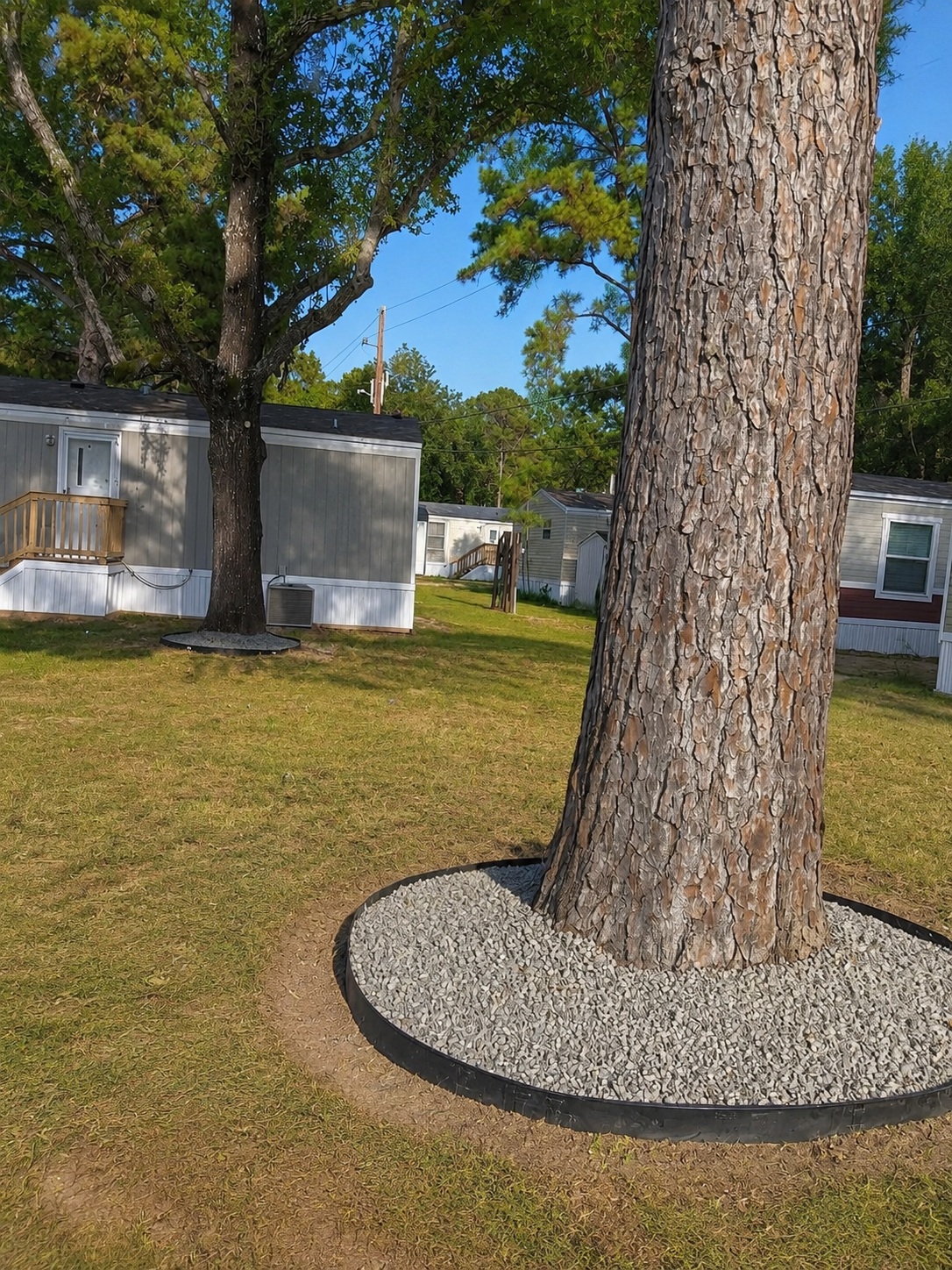 Green Spaces and Trees